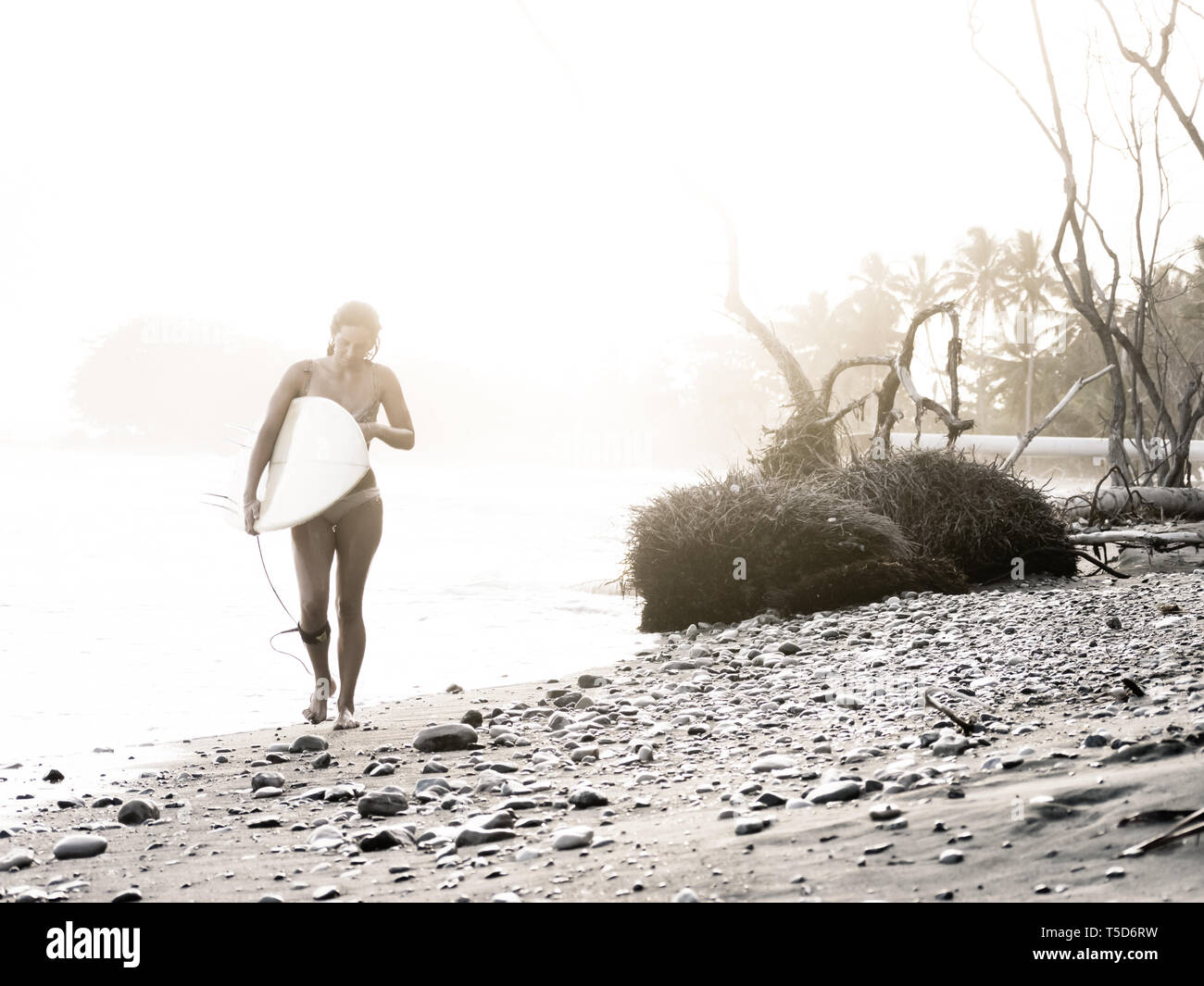 Frau, die Surfbrett beim Gehen auf einem felsigen Strand nach einem Surf Session. Stockfoto