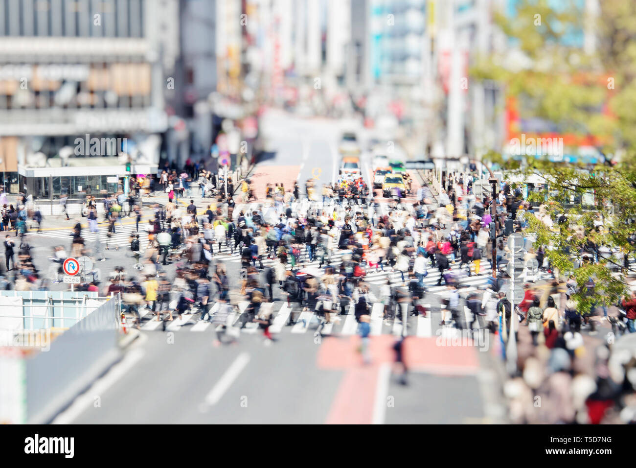 Shibuya Zebrastreifen in Tokio, Japan, mit Walking Menschen Stockfoto