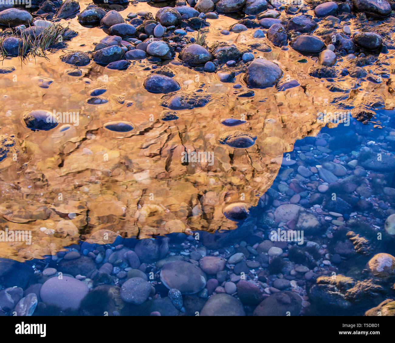 Lebendige Spiegel Reflexion auf dem Colorado River in Arizona Stockfoto