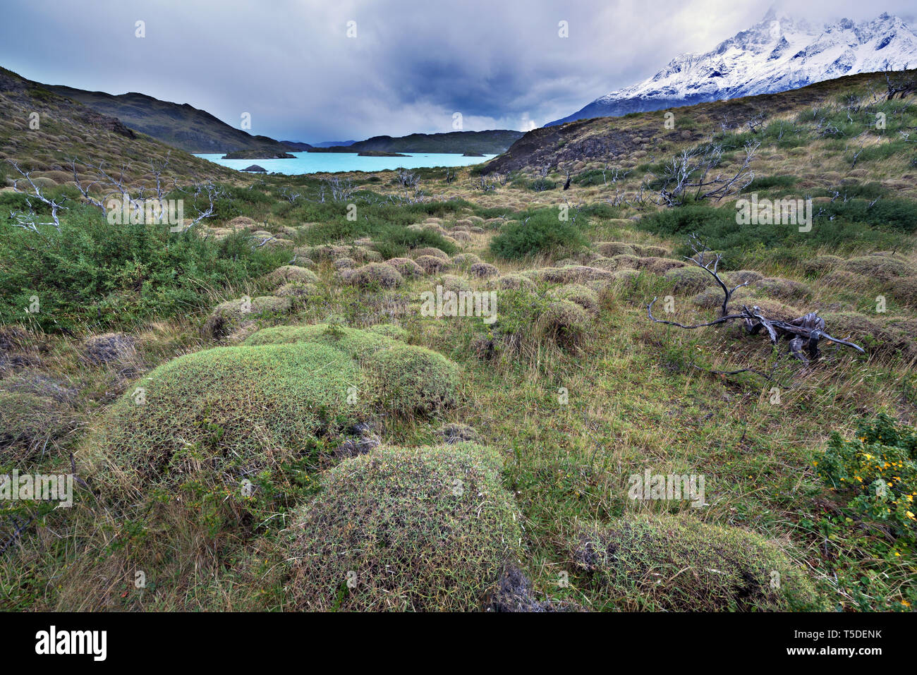 Lago Pehoe, NP Torres del Paine, Chile Stockfoto