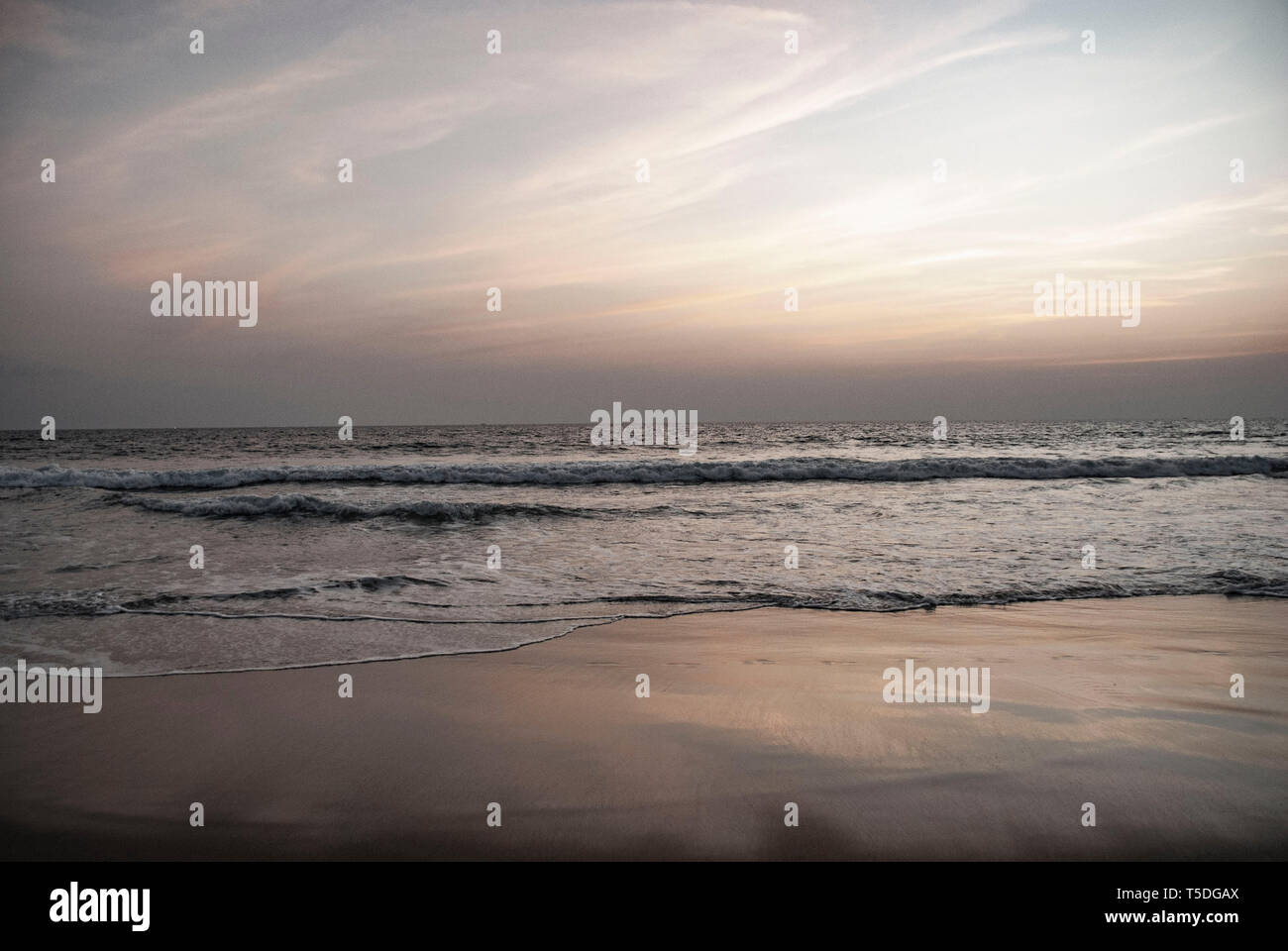 Strand mit Palmen in Cochin in Indien Stockfoto