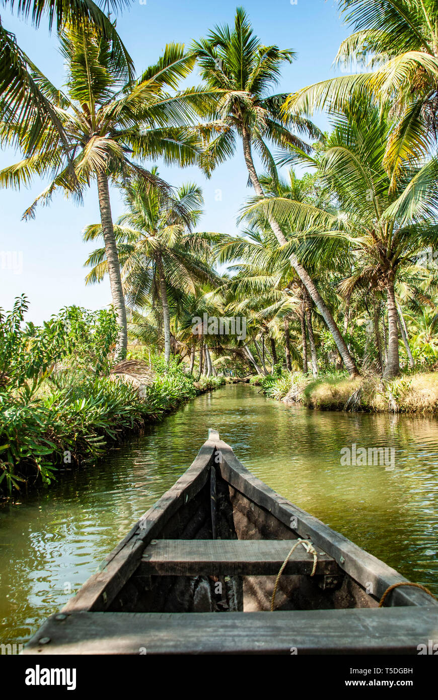 Bootsfahrt durch die Kanäle des Achterwassers Munroe Insel in Kollam in Indien Stockfoto