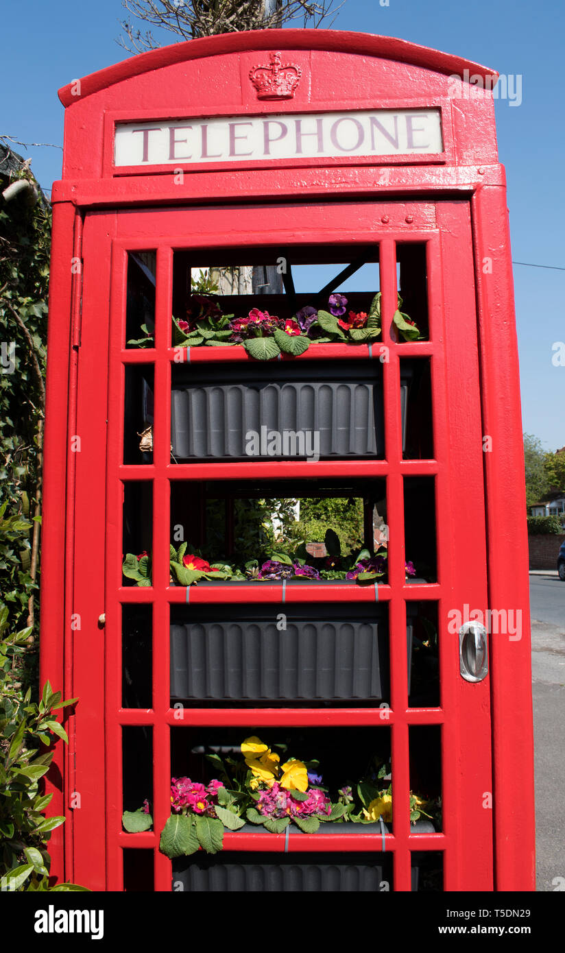 Rote Telefonzelle benutzt wie eine Blume Anzeige HOMER SYKES Stockfoto