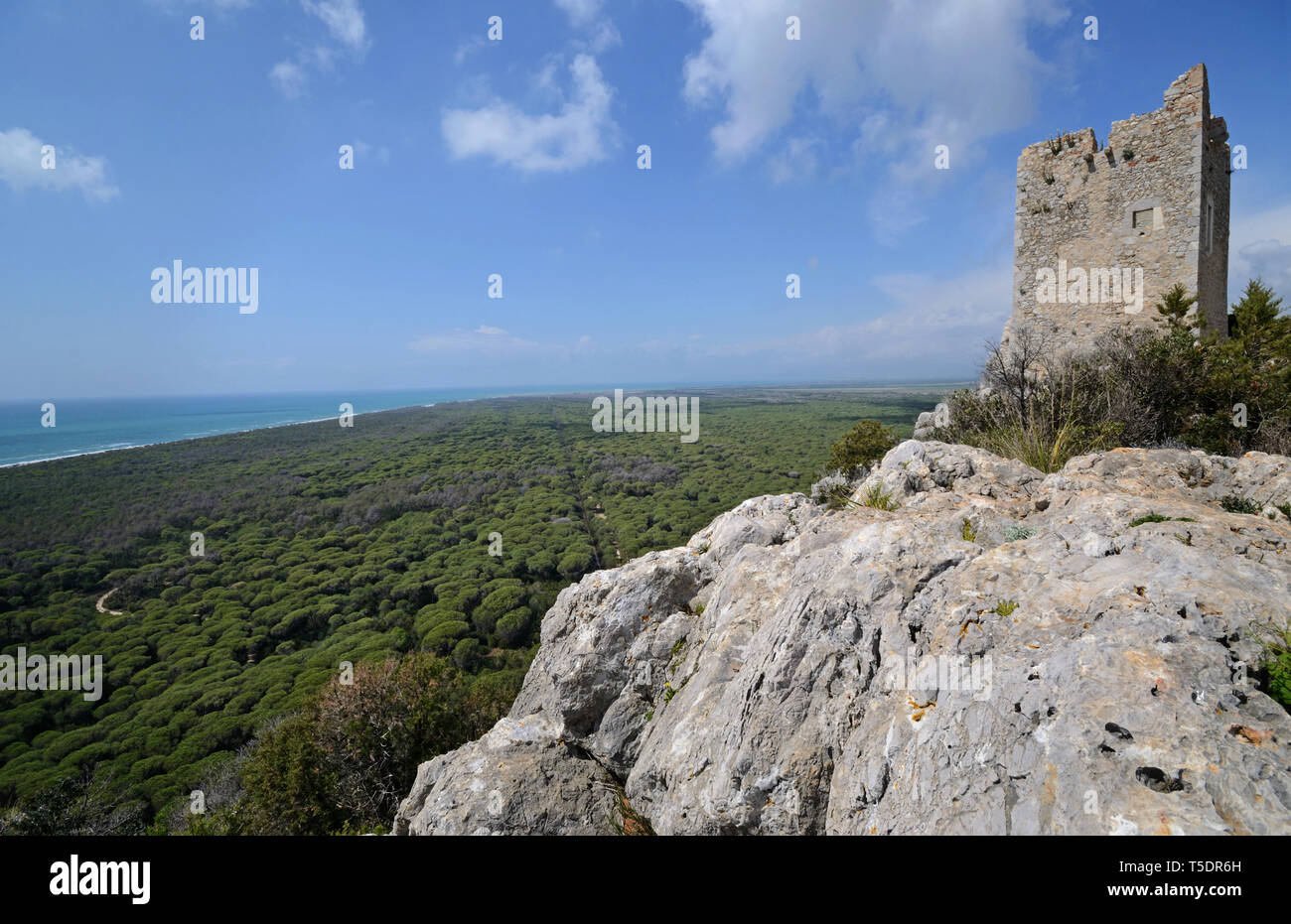 Malerischer Blick auf alten Aussichtsturm auf dem Hügel mit Blick auf die toskanische Maremma Land, in der Nähe der Küste, mit seinen großen Pinienwald Stockfoto
