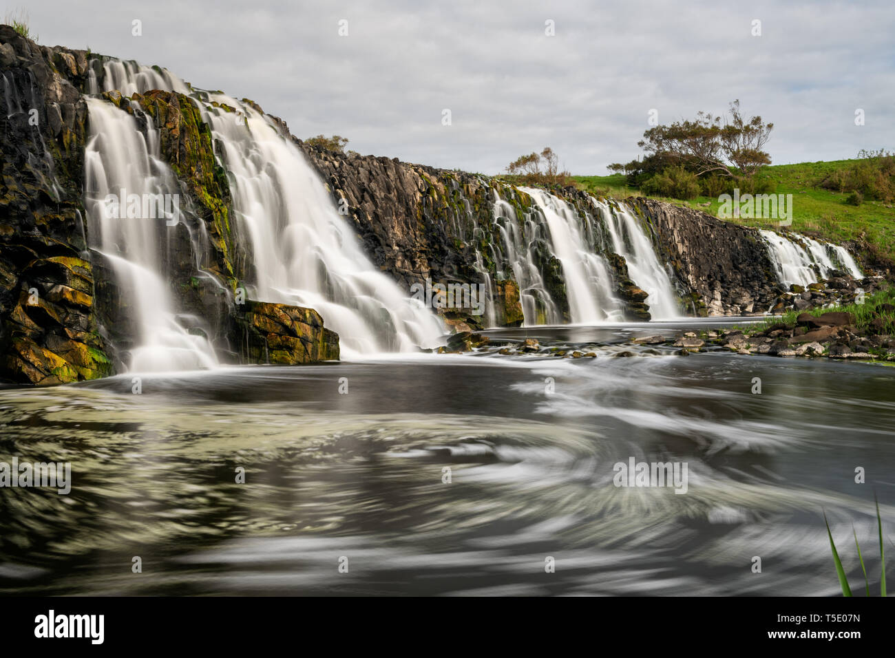 Schöne Hopkins fällt nach einigen guten Regen. Stockfoto