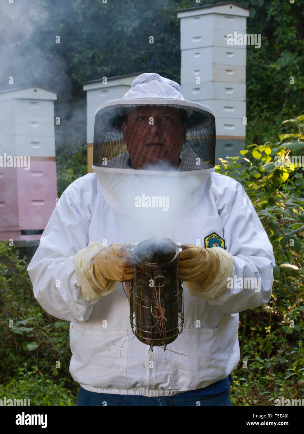 Bienenzucht Stockfoto