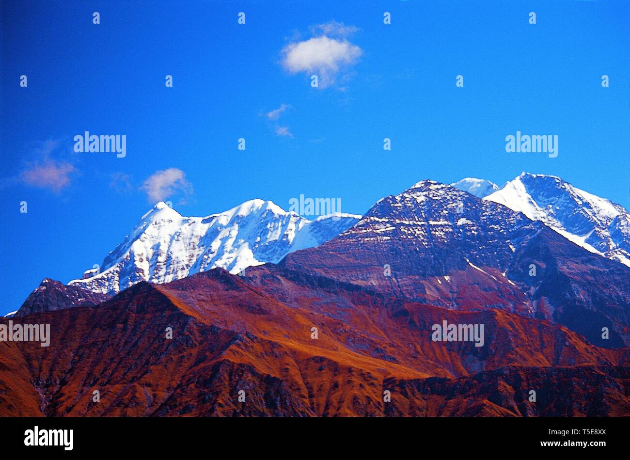 Mt Trishul ab Ghoda Lotan Dhar, Uttarakhand, Indien, Asien Stockfoto