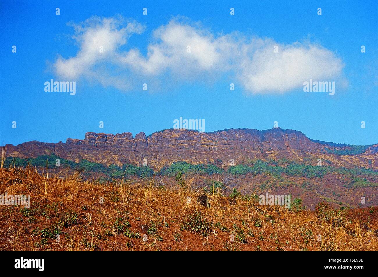 Haji Malang Hill als aus der Ferne, Maharashtra, Indien, Asien Stockfoto