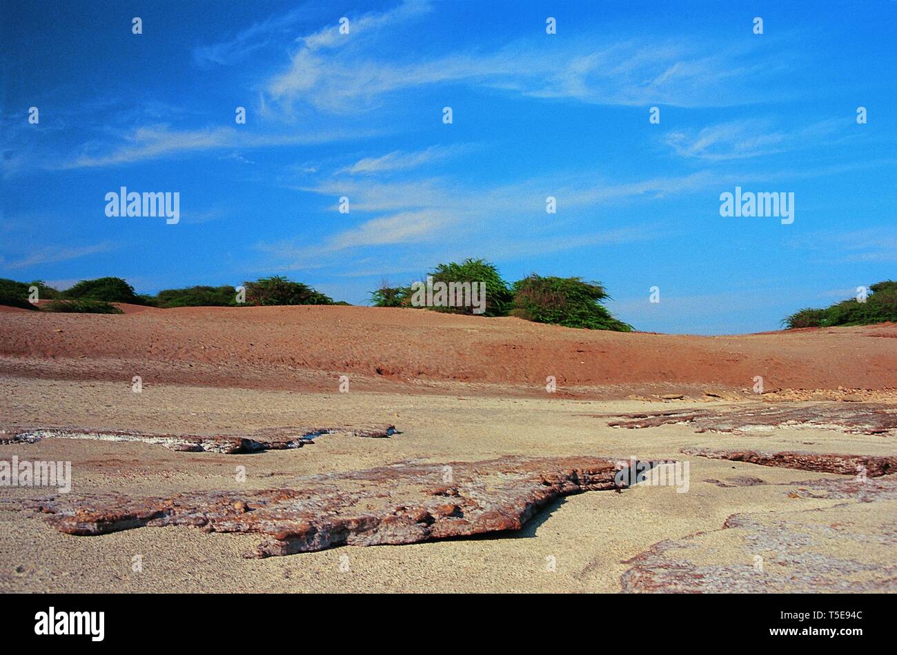 Cirruswolken über Strand und Sträucher, Saurashtra, Gujarat, Indien, Asien Stockfoto