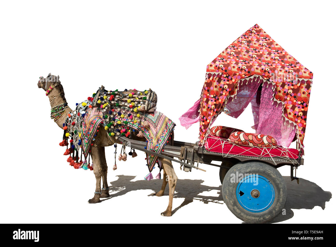 Dekorative camel Warenkorb, Pushkar Mela, Rajasthan, Indien, Asien Stockfoto