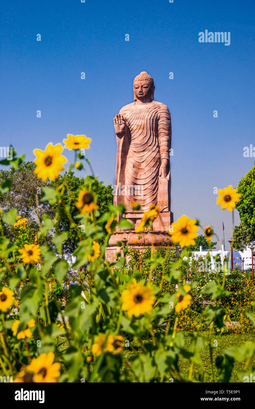 Statue von Buddha Sarnath, Uttar Pradesh, Indien, Asien Stockfoto