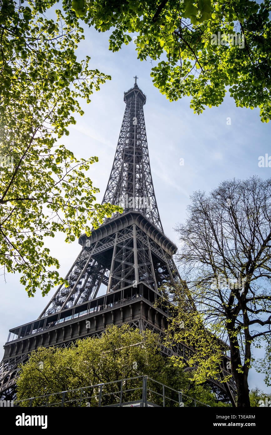 Eiffelturm, Champs de Mars gesehen Stockfoto