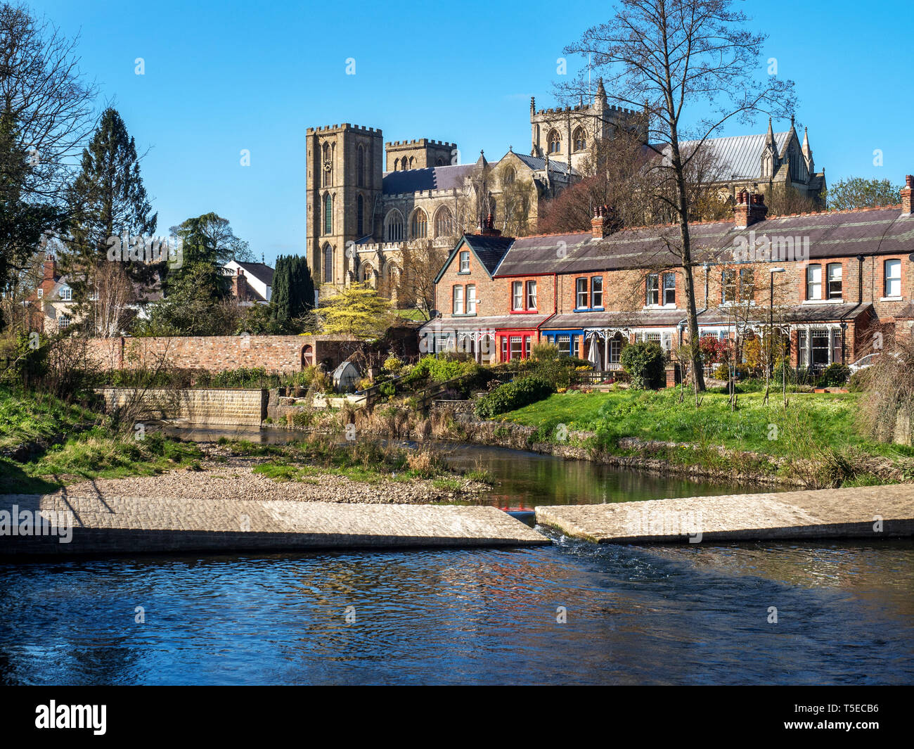 Ripon Kathedrale aus dem Fluss Skell in der Stadt Ripon North Yorkshire England Stockfoto