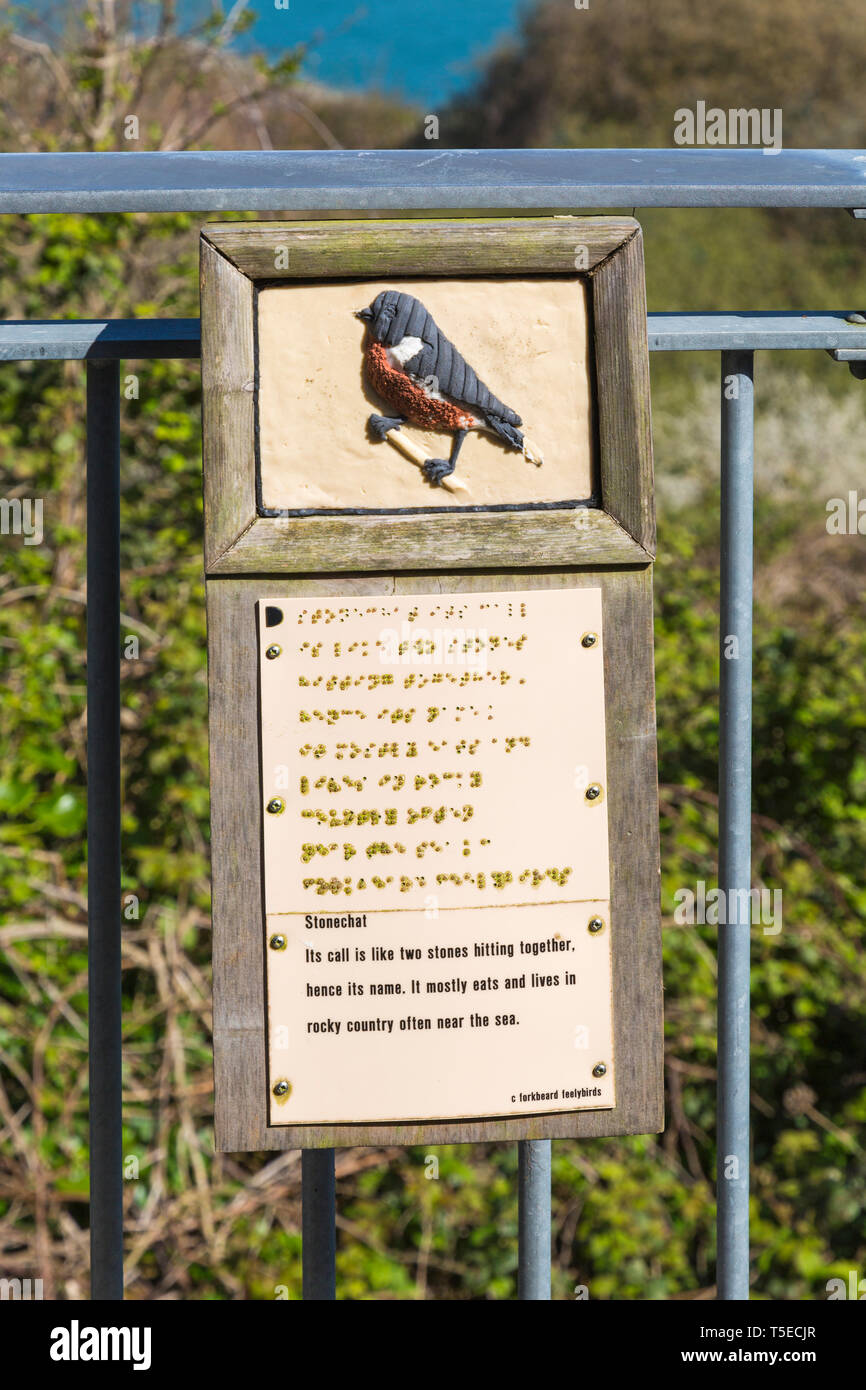 Schwarzkehlchen vogel Informationen Zeichen in Braille-Schrift für Blinde und sehbehinderte Besucher an Durlston Country Park, Swanage, Dorset Großbritannien im April Stockfoto