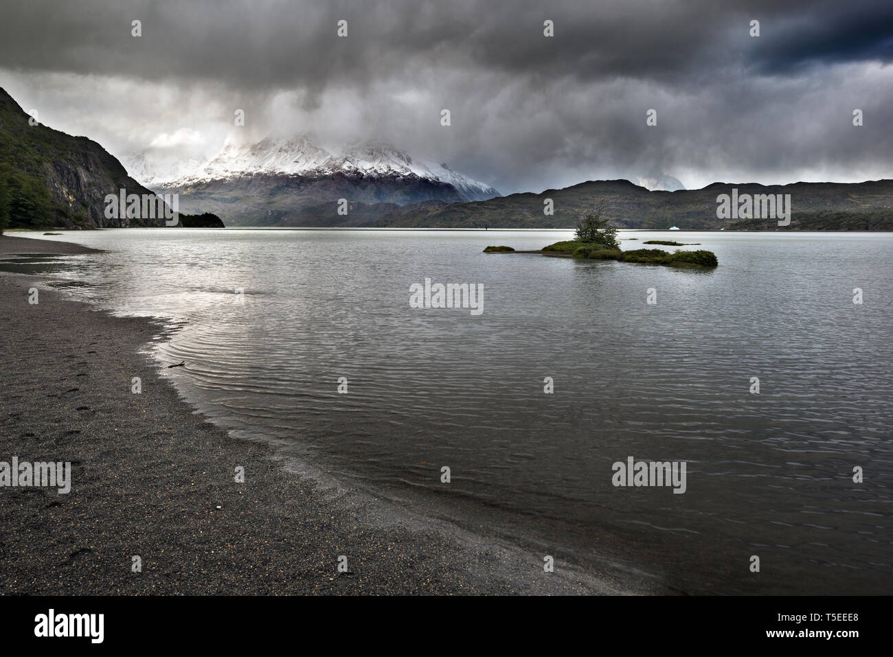 Lago Grey, Torres del Paine NP, Chile Stockfoto