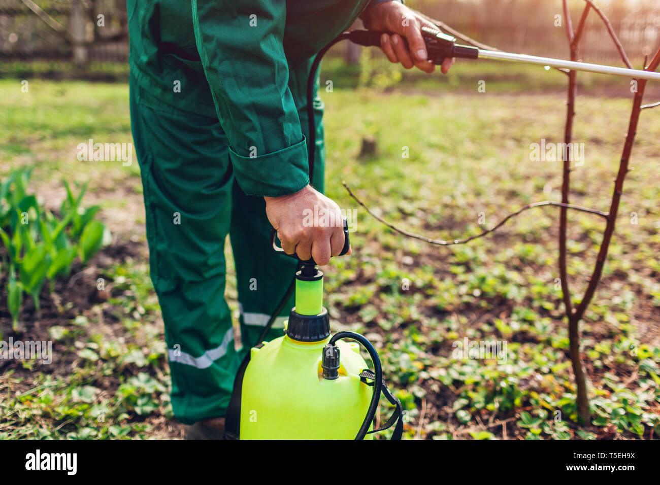 Pestizid Spruhpumpe Stockfotos Pestizid Spruhpumpe Bilder Alamy
