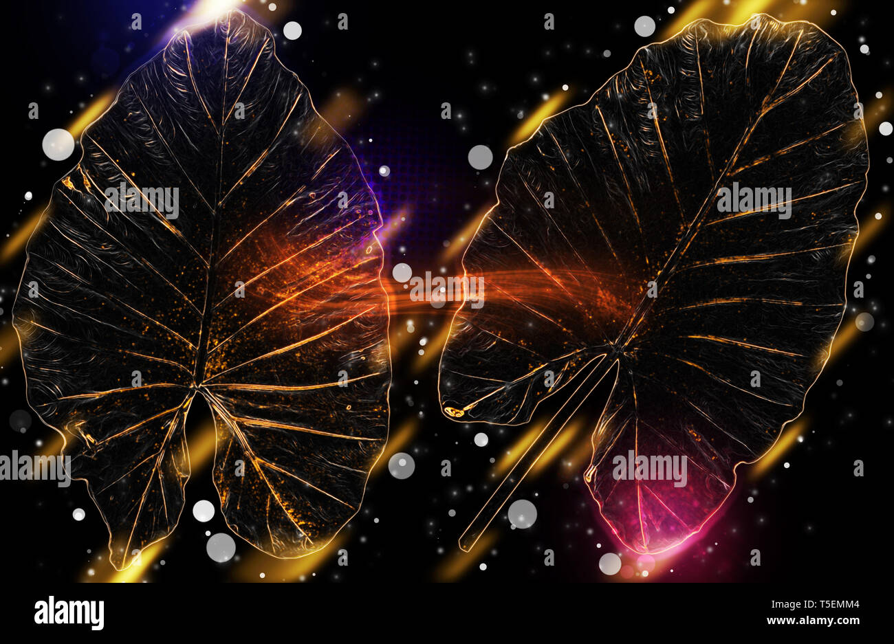 Arbor Day Konzept Digital verbesserte Bild von zwei großen alocasia Blätter der Pflanze. Eine tropische Zimmerpflanze Stockfoto