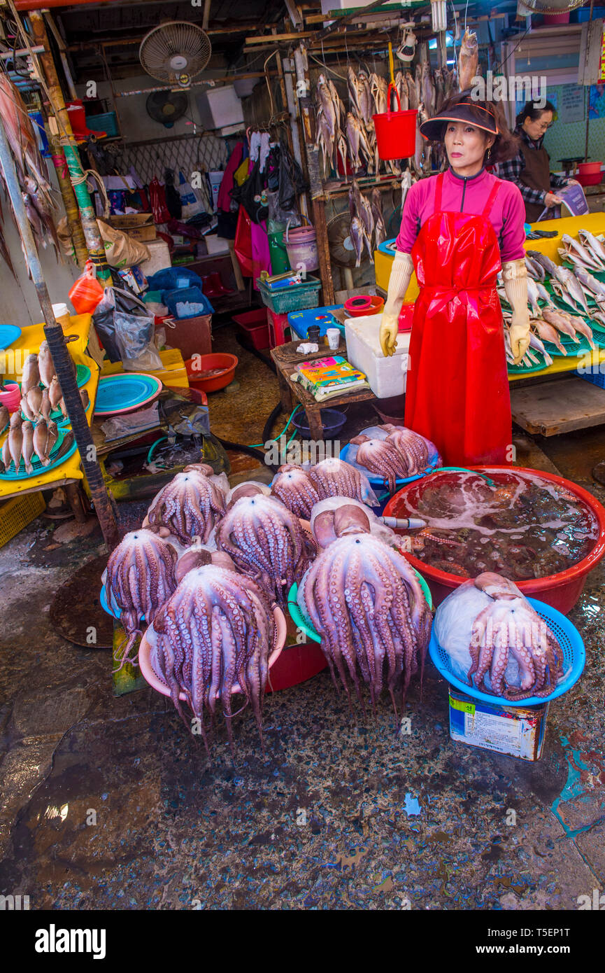 Der Jagalchi Fischmarkt in Busan Südkorea Stockfoto