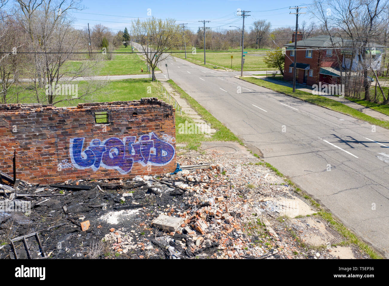 Detroit, Michigan - die Wand eines verbrannten Gebäude bleibt inmitten der riesigen Abschnitte der freien Land, dass viele Detroit Nachbarschaften prägen. Die Stadt Stockfoto