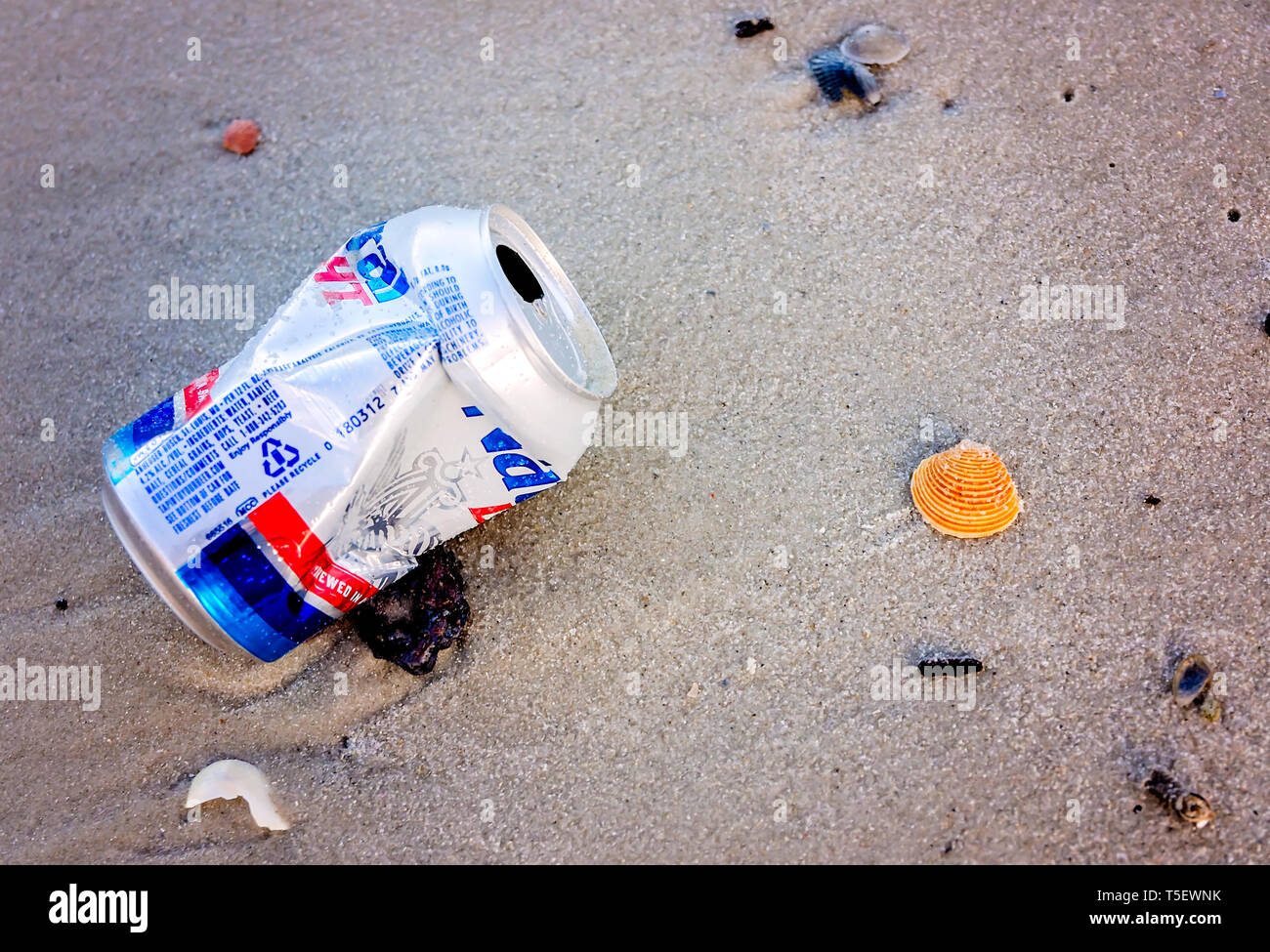 Eine natürliche Licht Bier kann man legt am Strand, 19. April 2019, in Dauphin Island, Alabama. Die meisten einwegdosen wie diese sind aus Aluminium. Stockfoto