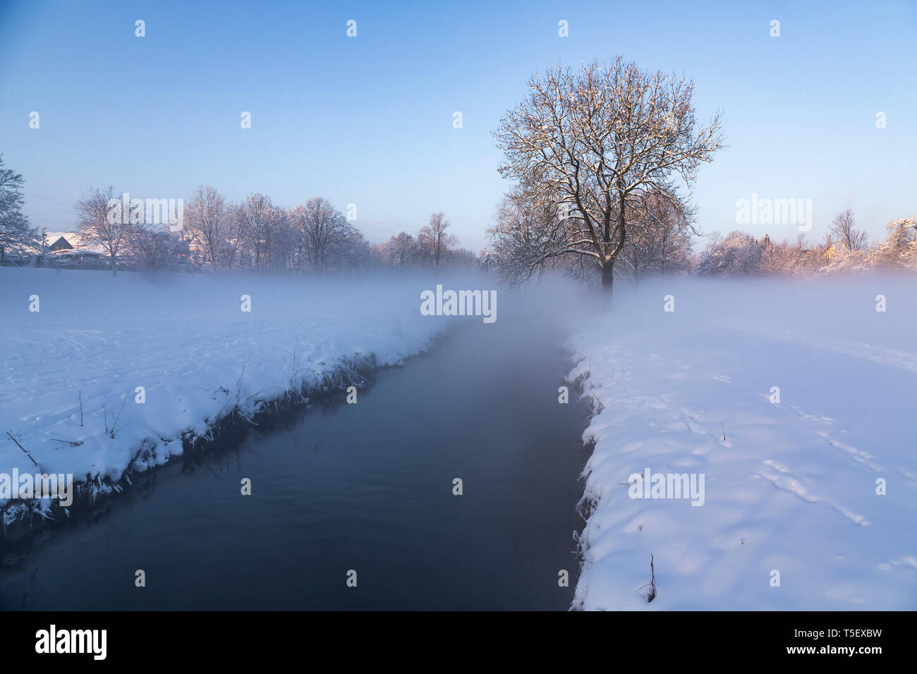 Deutschland, Landshut, neblige Landschaft im Winter am Morgen Stockfoto