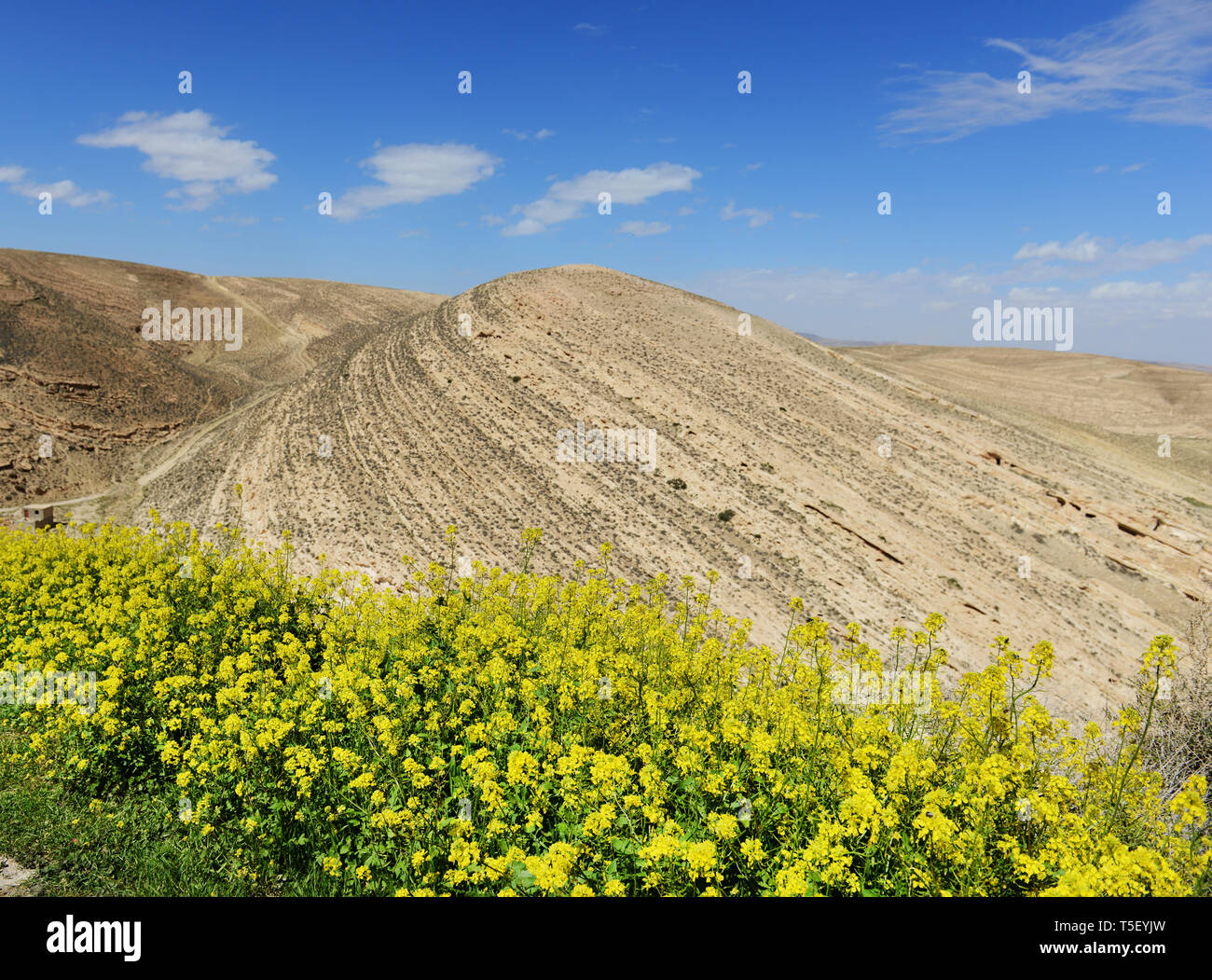 Schöne Landschaft rund um die Burg Shobak in Jordanien. Stockfoto