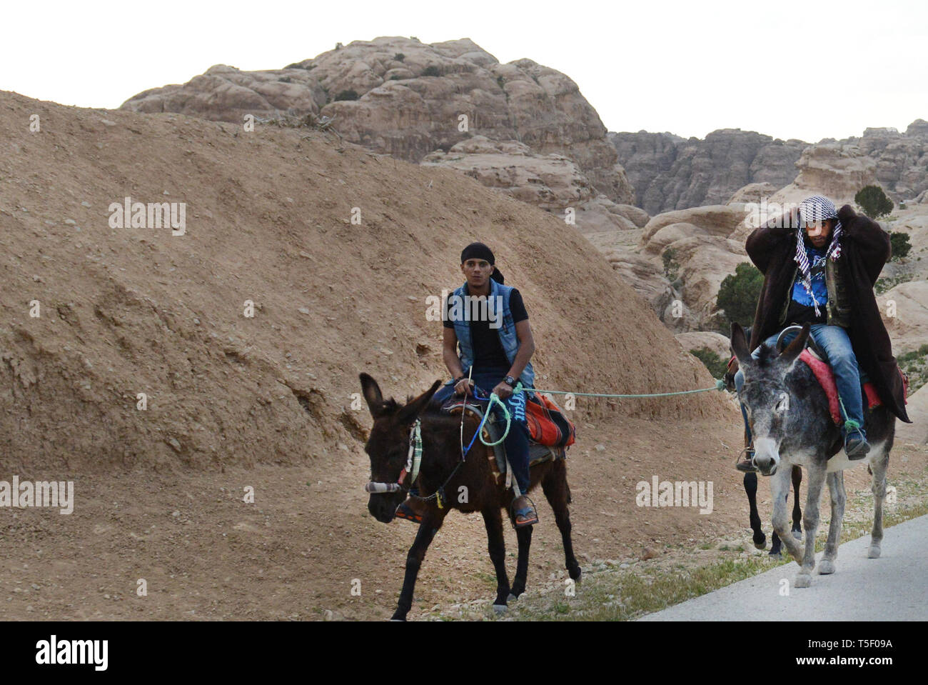 Bedouin Männer reiten ihre Esel in der Nähe von Little Petra in Jordanien. Stockfoto