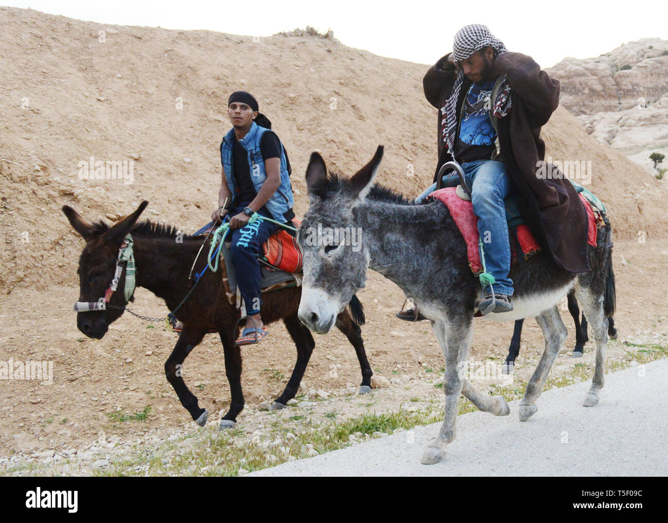 Bedouin Männer reiten ihre Esel in der Nähe von Little Petra in Jordanien. Stockfoto