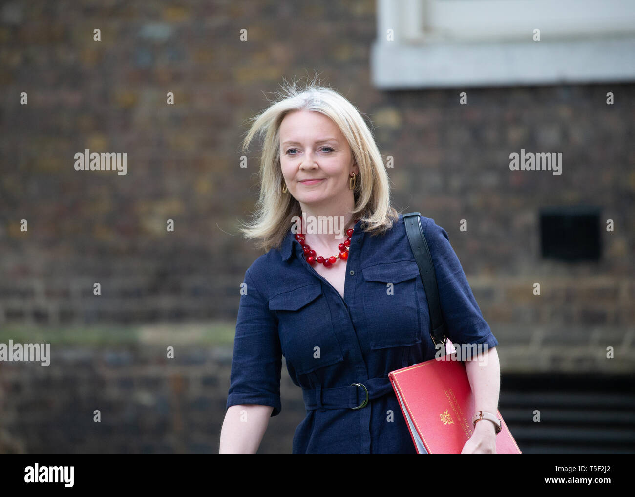 Liz Truss, Chief Secretary, Schatzamt, kommt in der Downing Street für eine Sitzung. Stockfoto