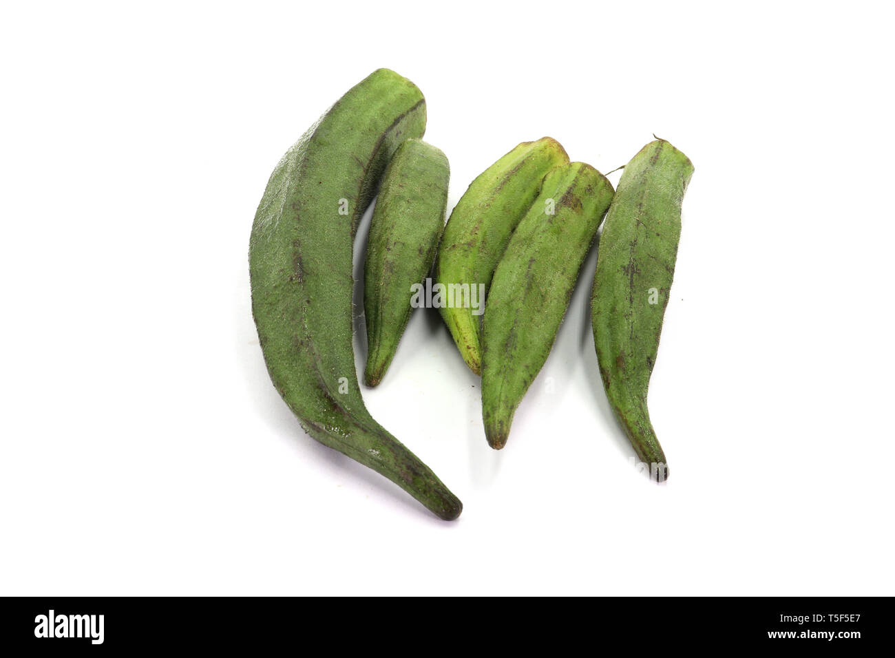 Frische okra auf weißem Hintergrund hochauflösende Bilder Galerie isoliert. Stockfoto