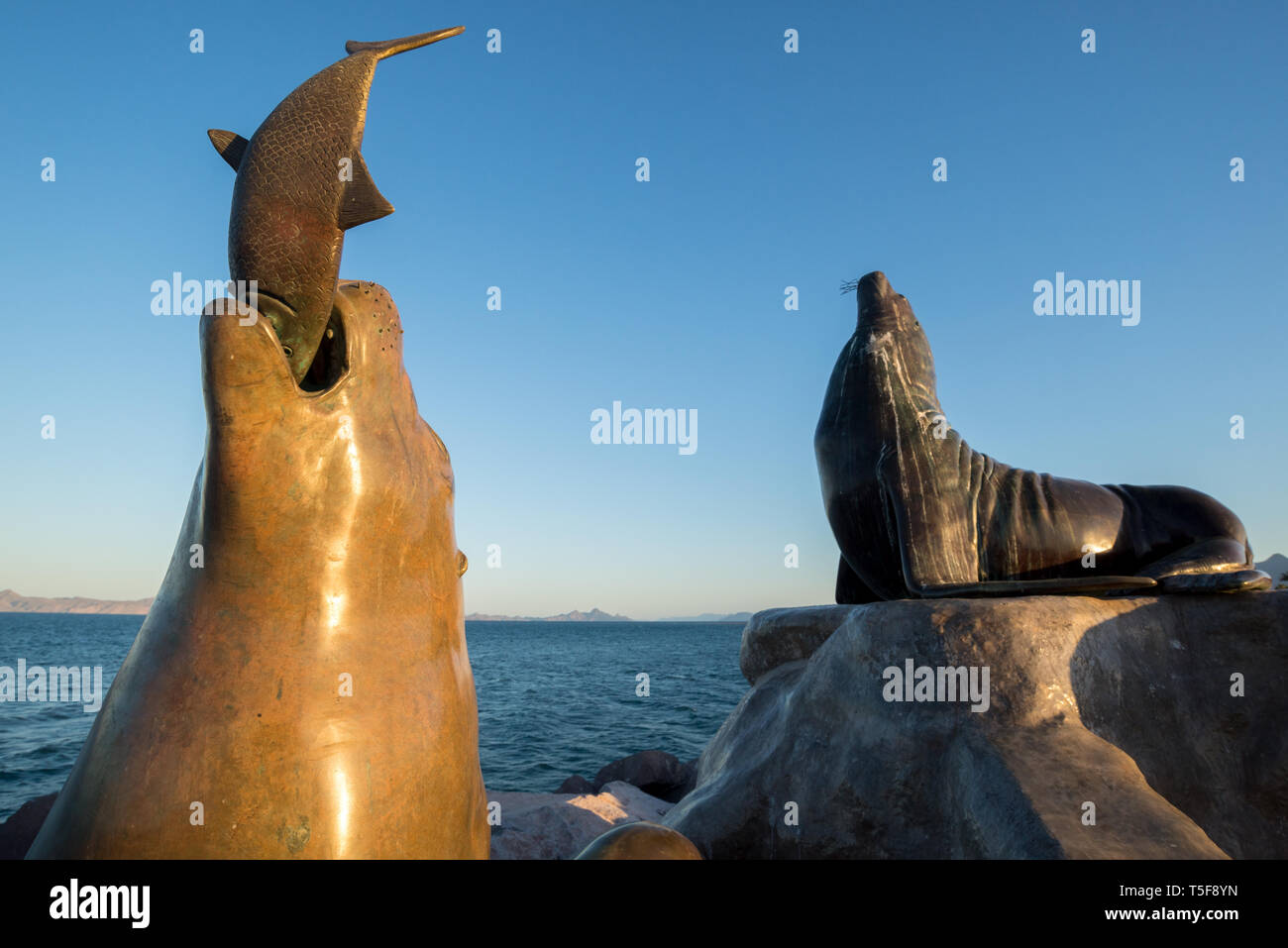 Sea Lion Skulpturen an der Küste von Loreto, Baja California Sur, Mexiko. Stockfoto
