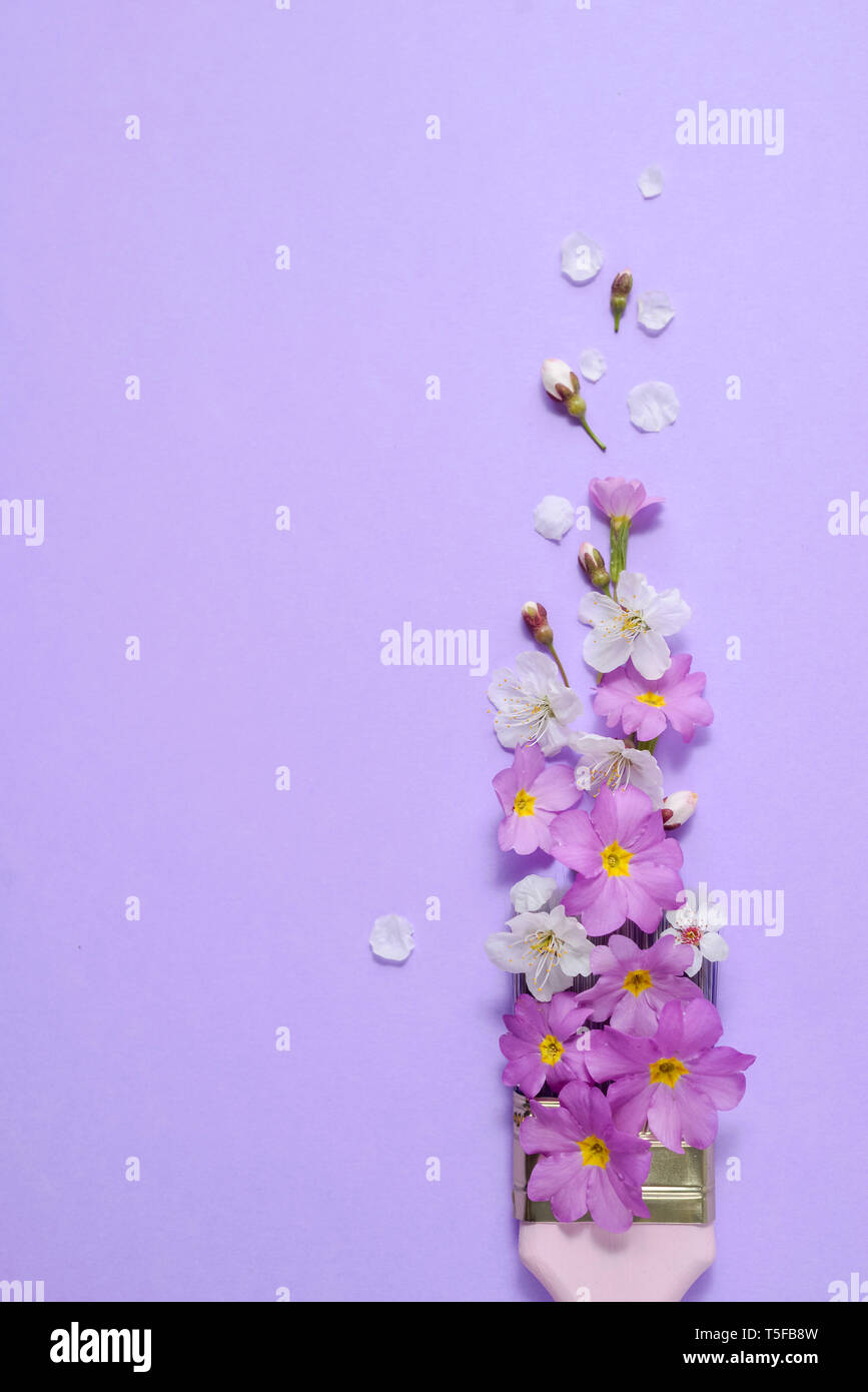 Kreatives Konzept. Pinsel mit Kirschblüten und Lila Blume auf Pastell lila Hintergrund. Minimal Art Komposition mit kopieren. Flach, Stockfoto