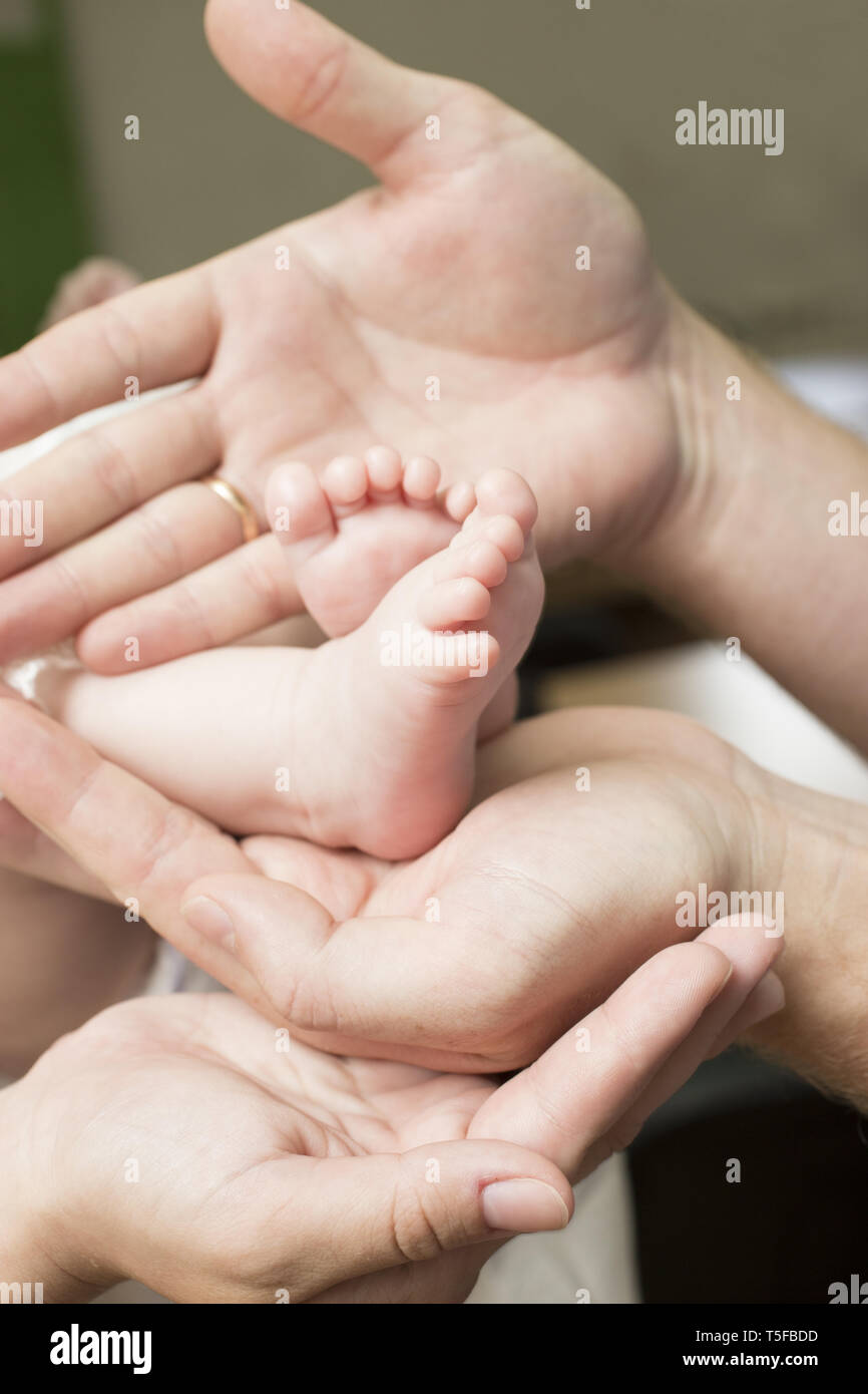 Hände von Mutter und Vater halten Beine das Baby Stockfoto