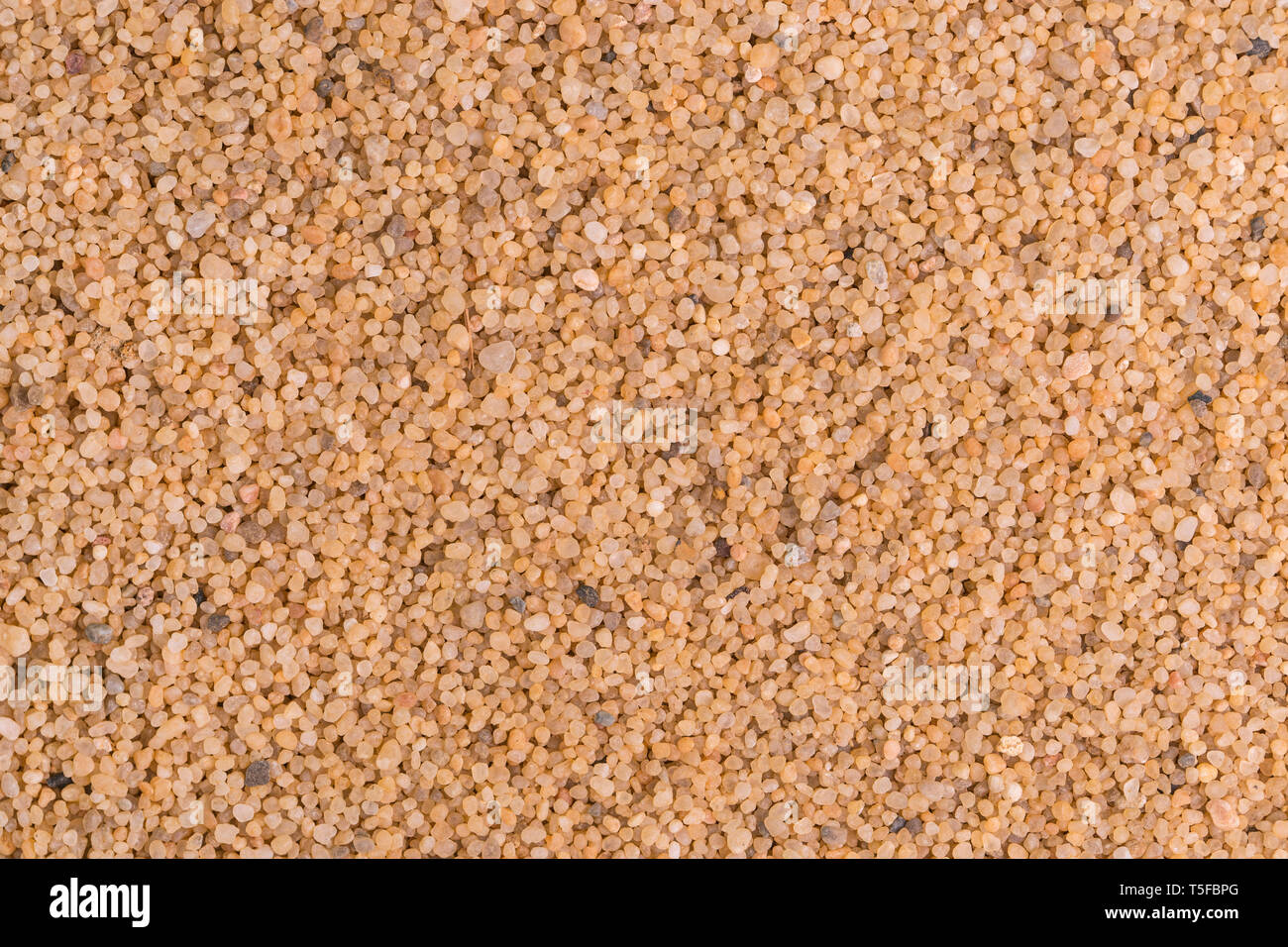 Gelb Sand Hintergrund, Körner, Makro, Nahaufnahme Stockfoto