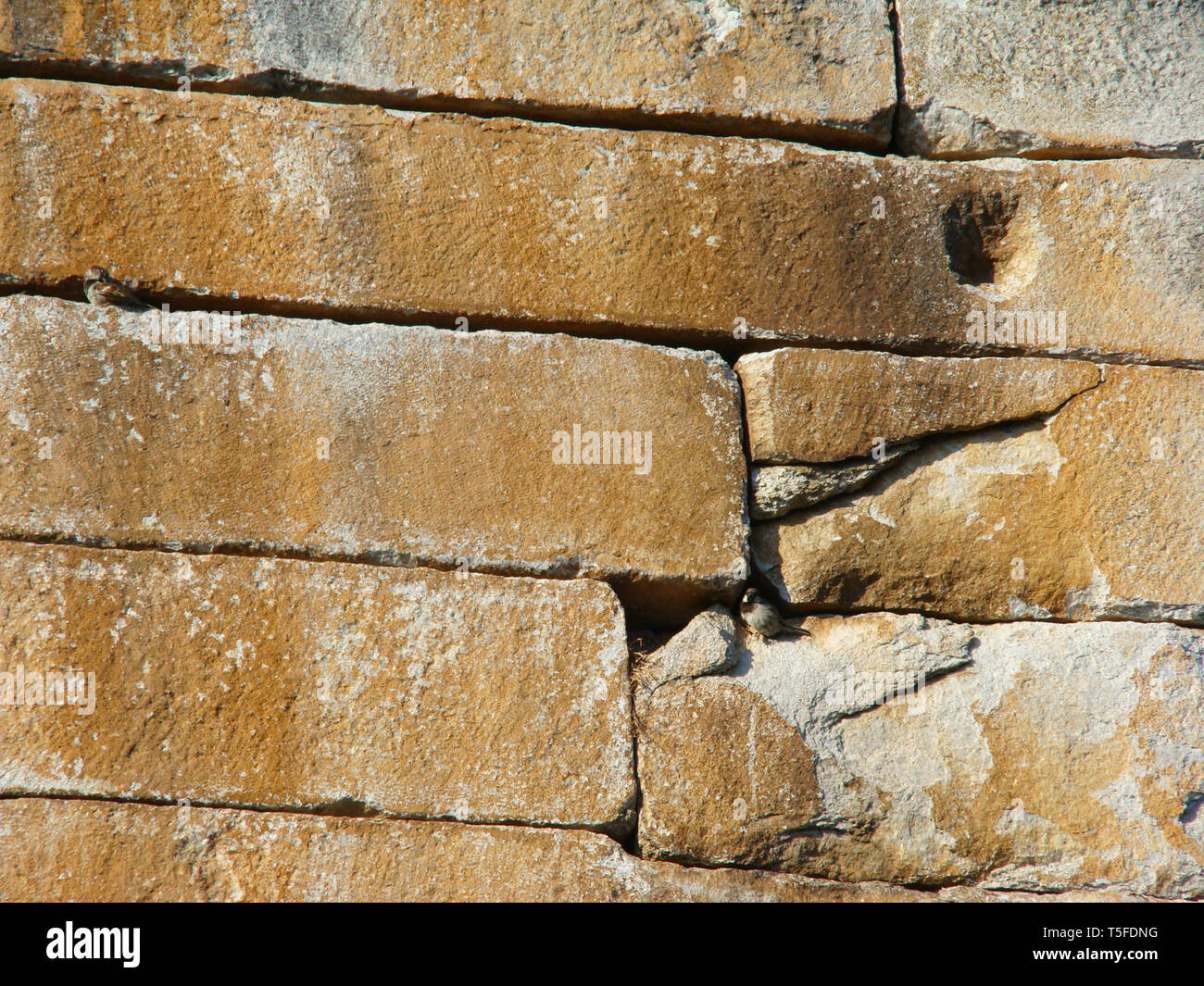 Schlacht von philippi Fotos und Bildmaterial in hoher Auflösung Alamy