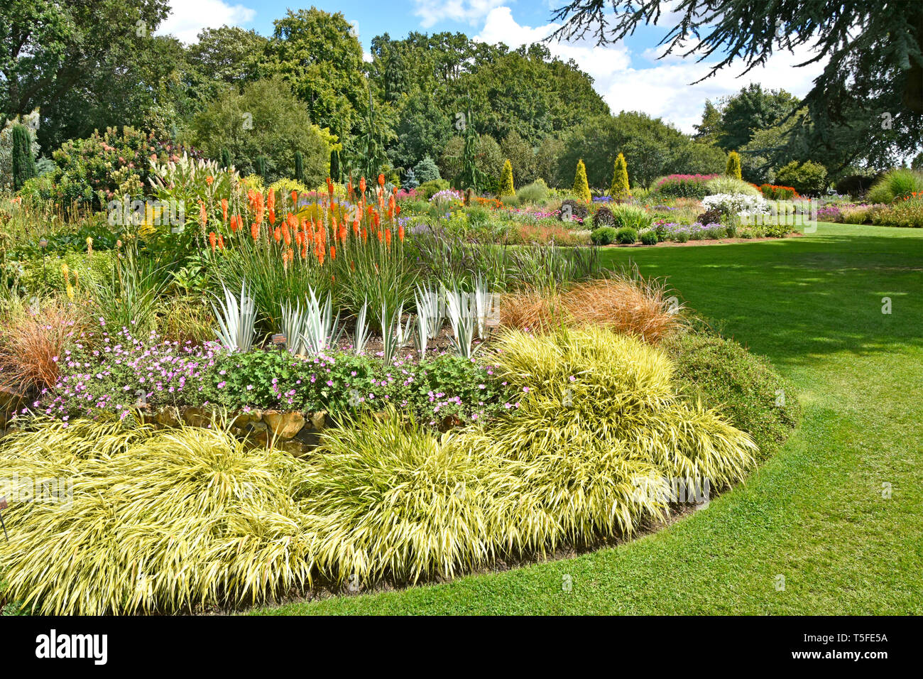 Summer View Alan Bloom formale Englische Landhaus Blumengarten im Rasen mit Pflanzen Bäume & Koniferen Bressingham Diss Norfolk East Anglia England Grossbritannien Stockfoto