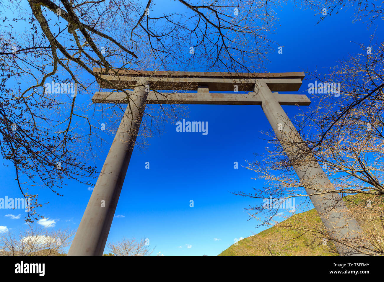 Die Oyunohara torii, der größte der Welt, Kumano Hongu taisha, Japan Stockfoto