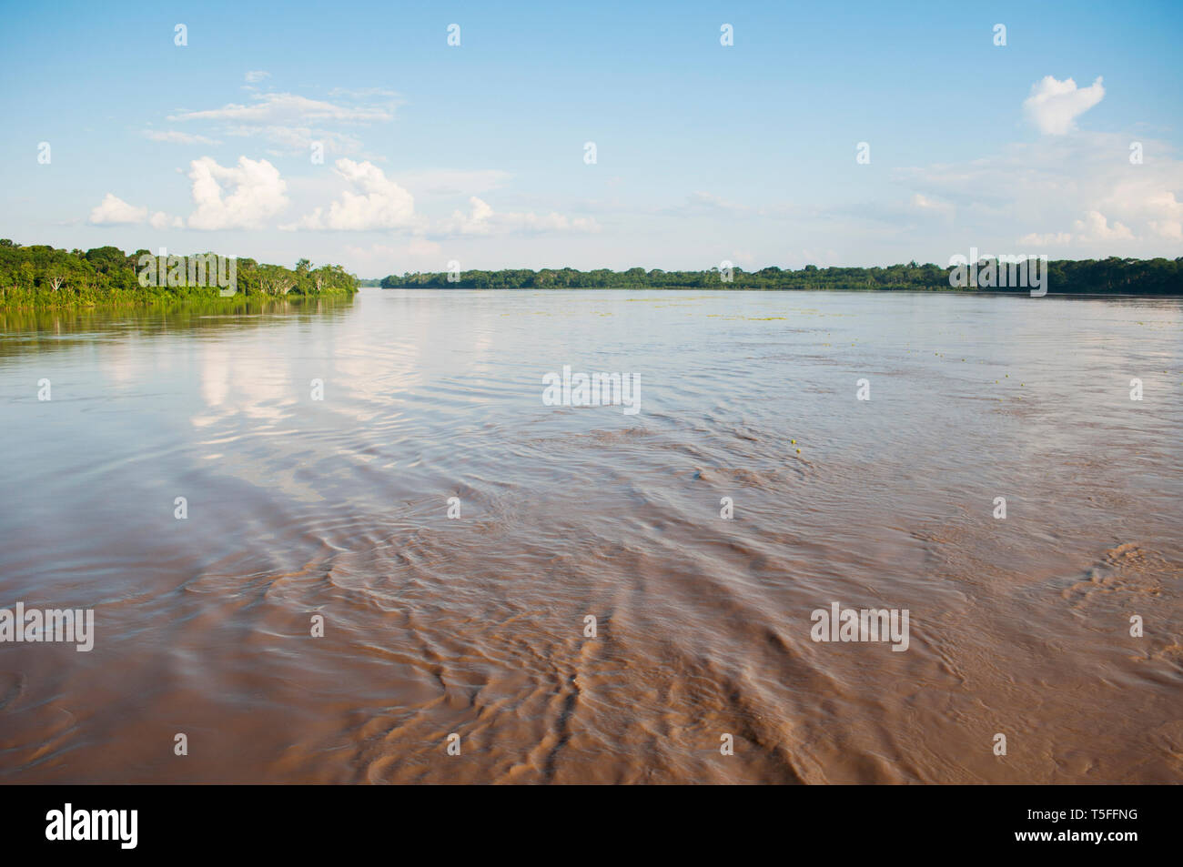 Amazonas Regenwald Landschaft. Peru. Südamerika. Stockfoto