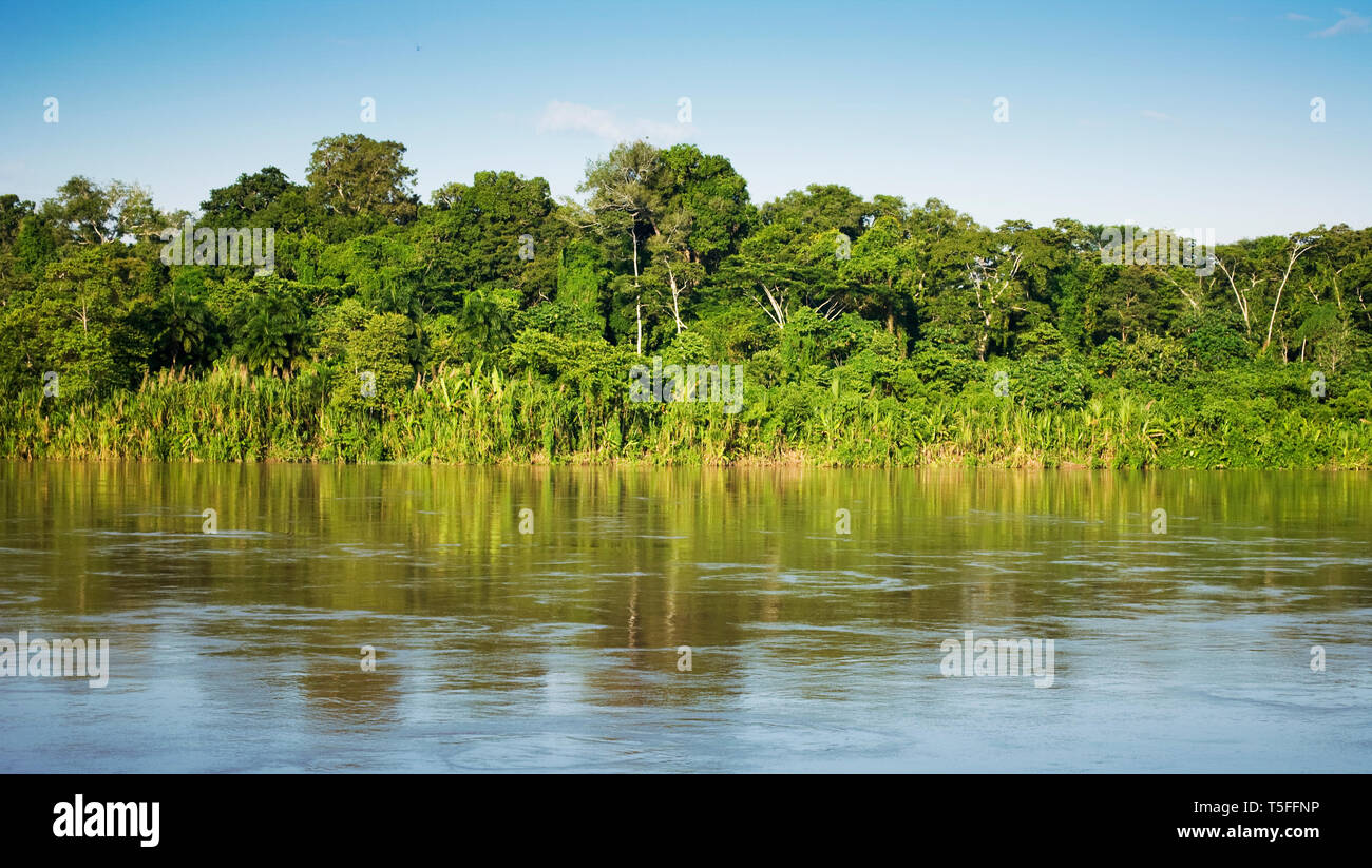 Amazonas Regenwald Landschaft. Peru. Südamerika. Stockfoto