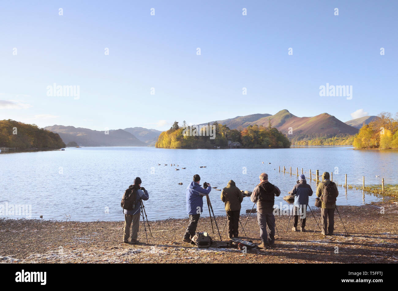 Eine Gruppe von Fotografen mit Stative am Ufer des Derwentwater in Richtung Derwent Isle und Catbells, Lake District, England, UK suchen Stockfoto