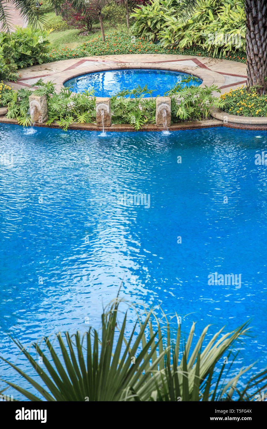 Swimmingpool, der von Palmen und üppigem immergrünen in einem tropischen Pflanzen Garten umgeben Stockfoto