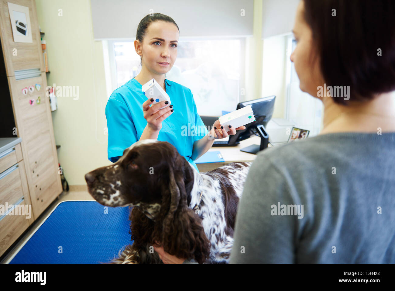 Weibliche Tierarzt, Medikamente, die Hundebesitzer des Tierarztes Stockfoto