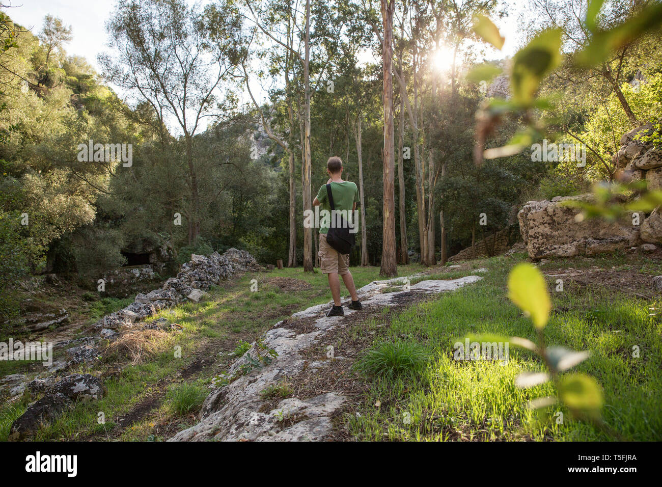 Sizilien Provinz Syrakus, Noto Antica, Cava del Carosello, Wanderer fotografieren Gum Trees Stockfoto