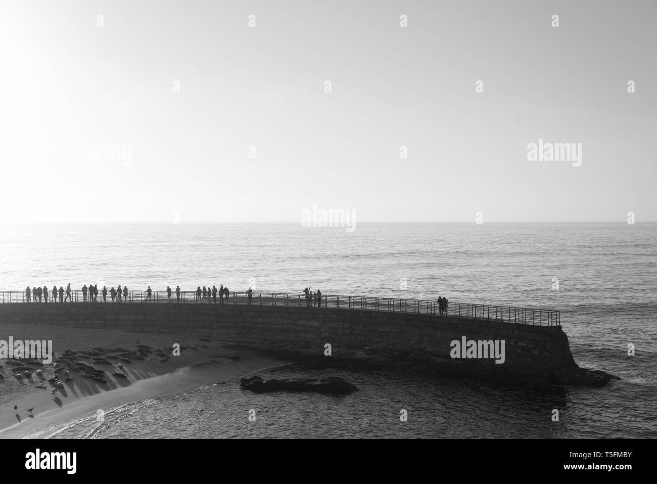 Ufermauer und das Kinderbecken in La Jolla, San Diego, Kalifornien Stockfoto