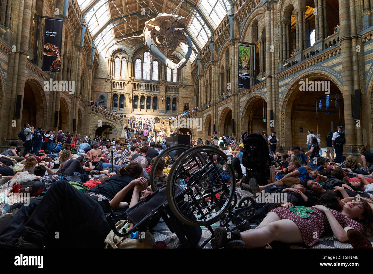 Als Teil des Aussterbens Rebellion Klimawandel Proteste, Familien sind die Inszenierung eines sterben durch auf dem Boden liegend am Natural History Museum Stockfoto