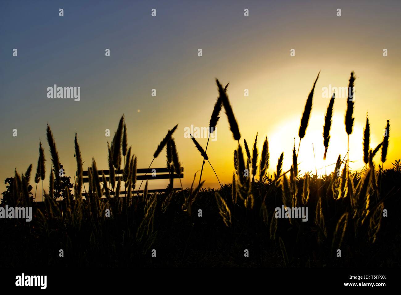 Kuwait sonnenaufgang Blick vom Strand Stockfoto