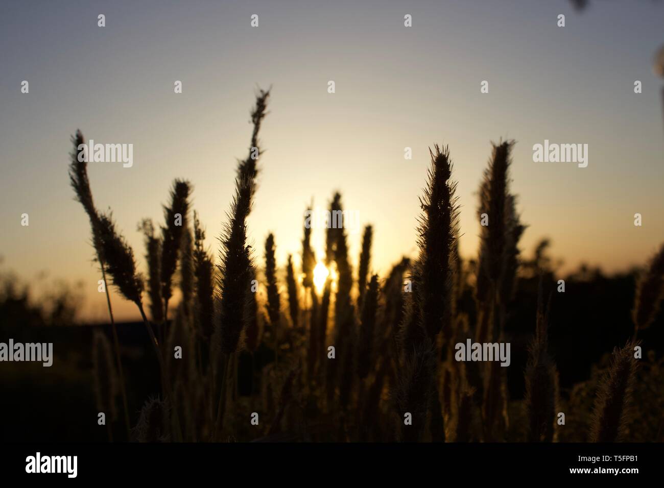 Kuwait sonnenaufgang Blick vom Strand Stockfoto