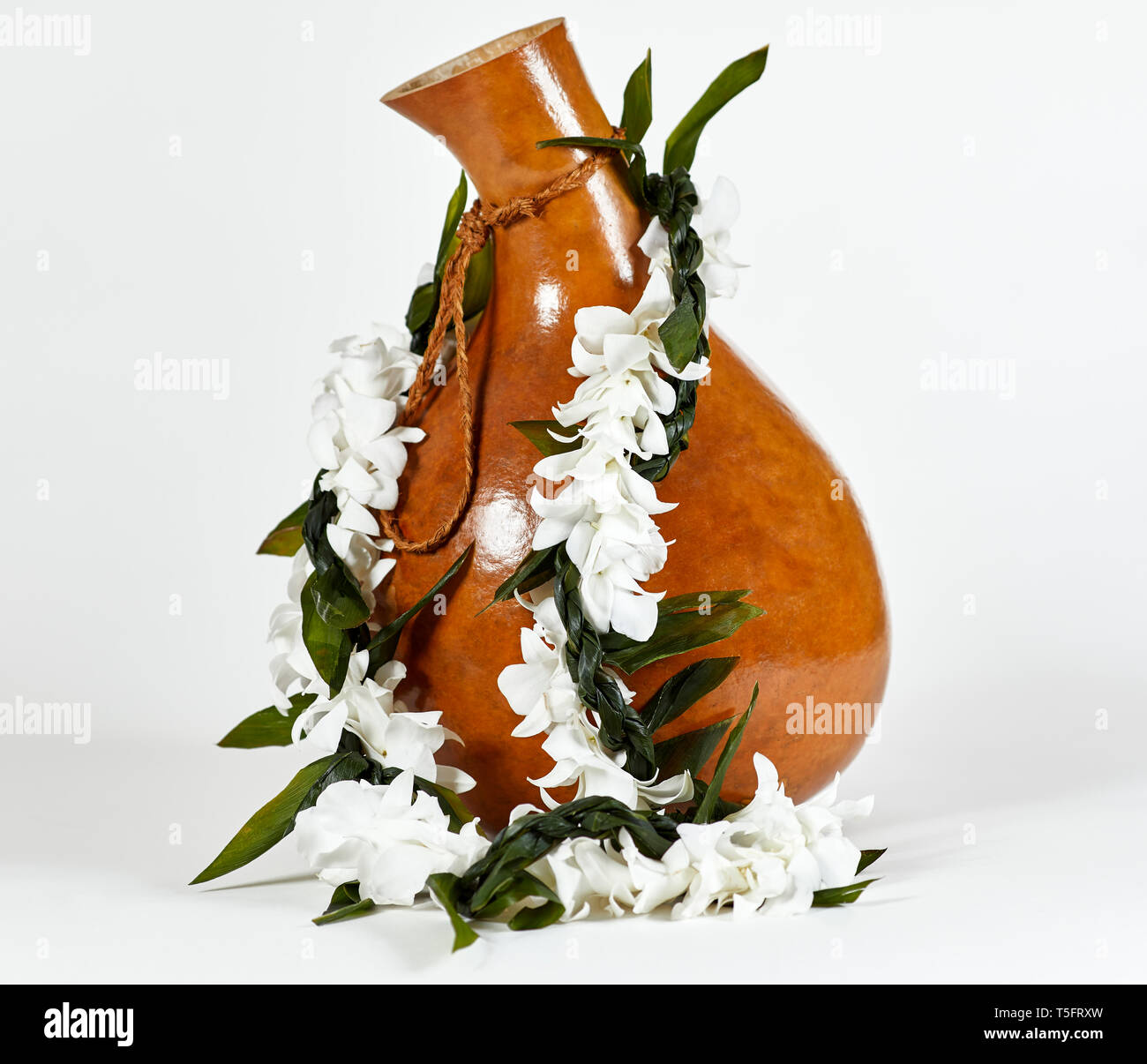 Weiße Blume von Hawaii Lei mit grünen twisted Ti Leaf lei Festlegung auf einer Hawaiianischen Ipu percussion Instrument für Hula verwendet Stockfoto