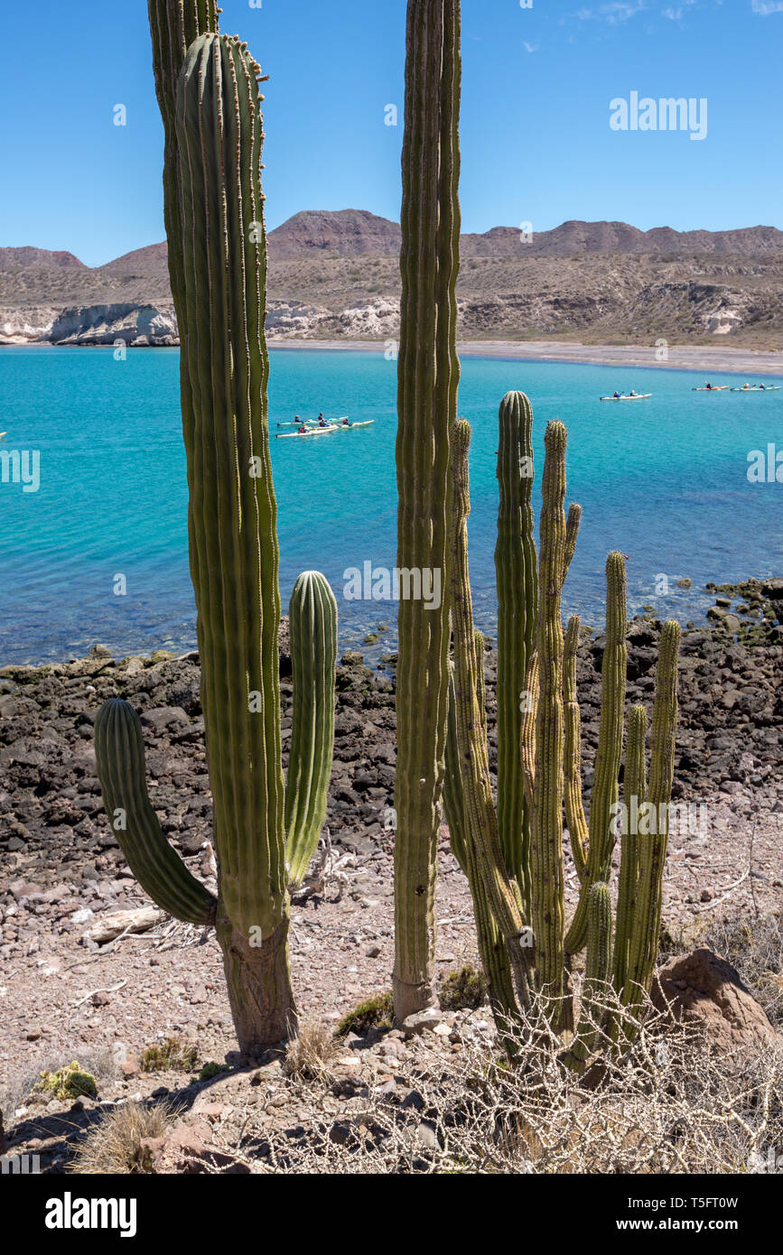 Kajakfahren auf dem Meer, die Bucht von Loreto Nationalpark, Baja California Sur, Mexiko. Stockfoto