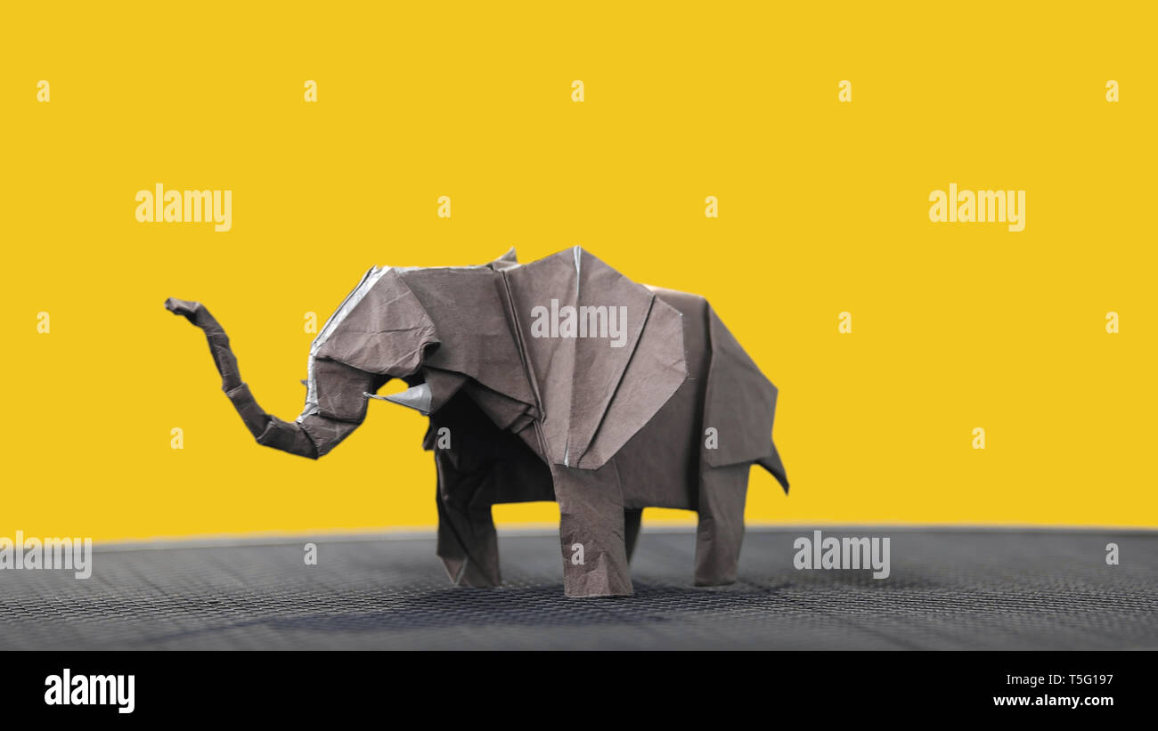 Origami Elefant auf gelben Hintergrund. Stockfoto